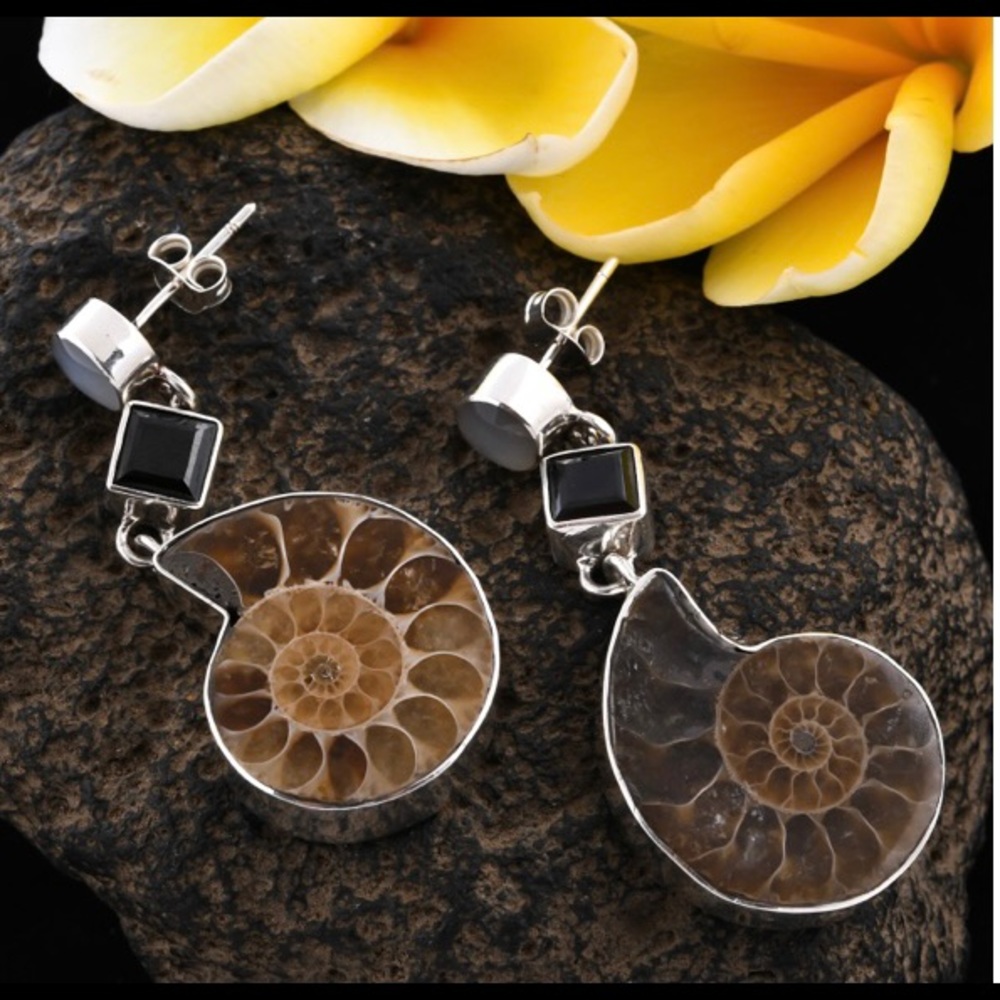 NWT Ammonite, Spinel & Rainbow Moonstone Earrings - Picture 2 of 7